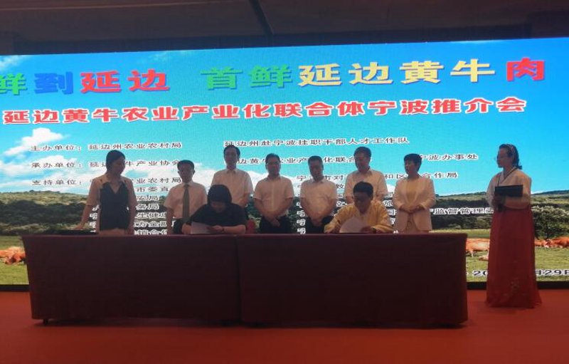 中兴牧业：探索未来农业的绿色之路